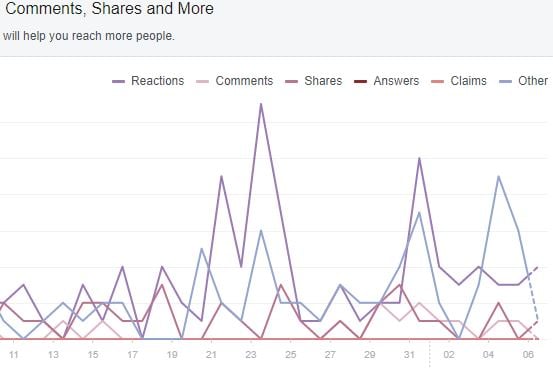 Facebook Analytics for a business page