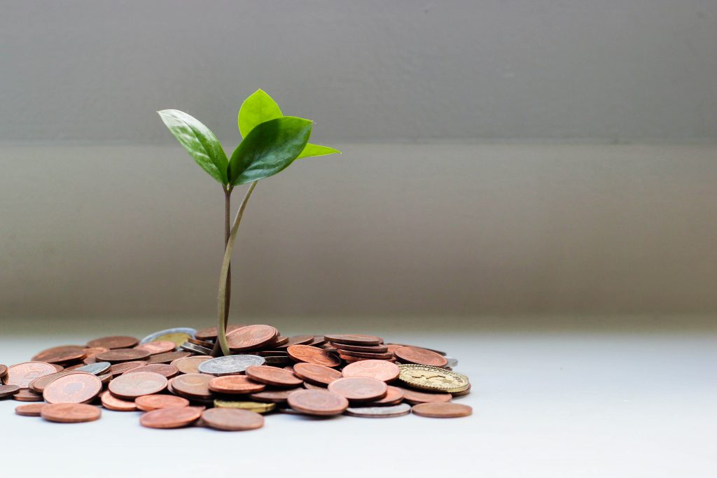 Does money grow from trees? A seedling growing from a pile of coins.

